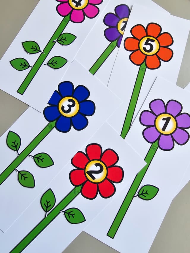 198-1-foto-numerais-flores-3
