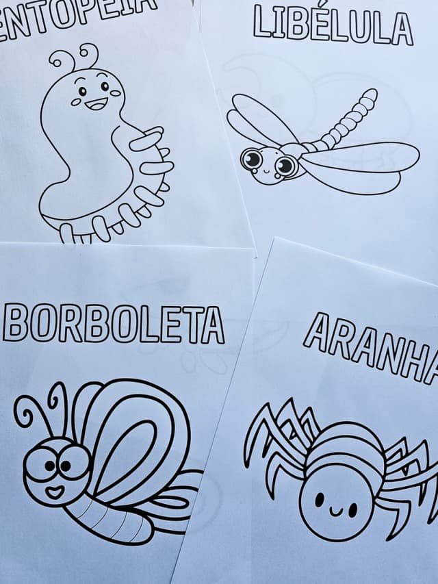 206-1-foto-meu-livrinho-de-insetos-2-2