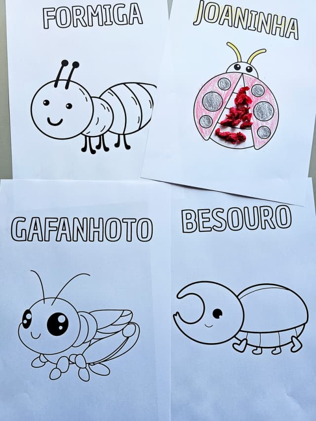 206-1-foto-meu-livrinho-de-insetos-3