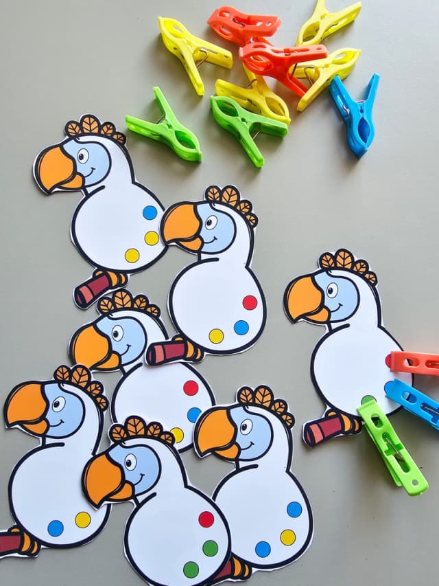 209-1-foto-passaro-das-cores-1