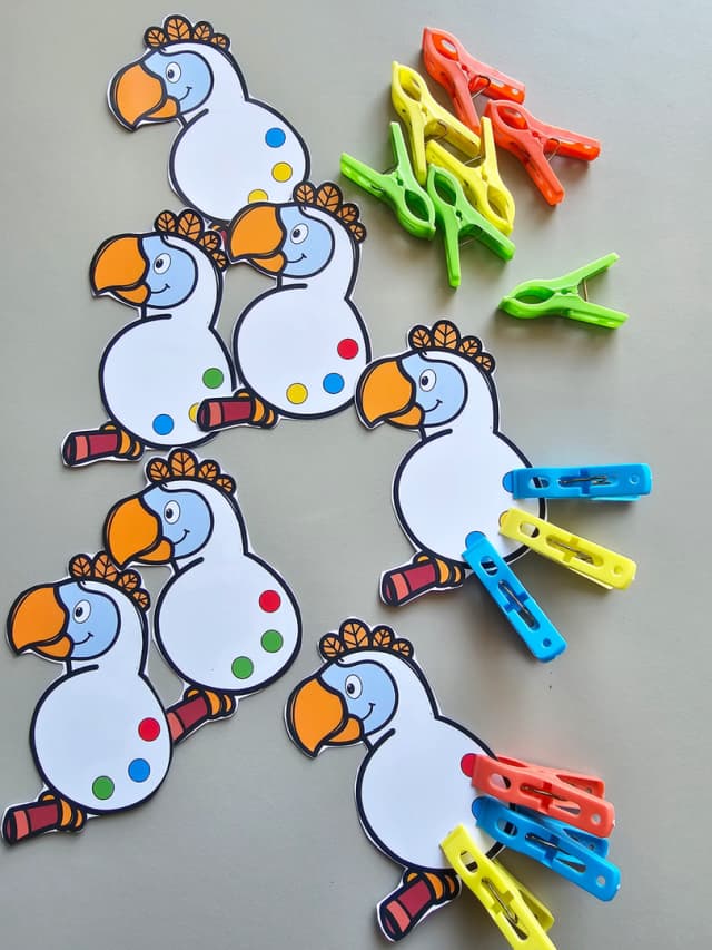 209-1-foto-passaro-das-cores-3