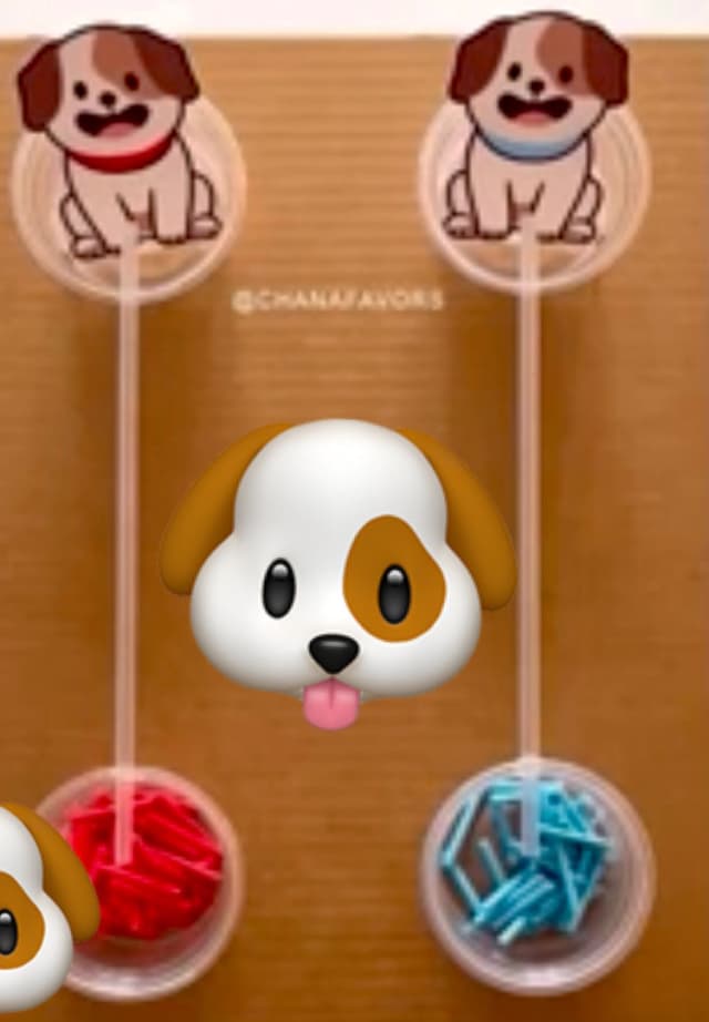 20f94b02-a8bd-46e8-9a79-842cc8a2bdca