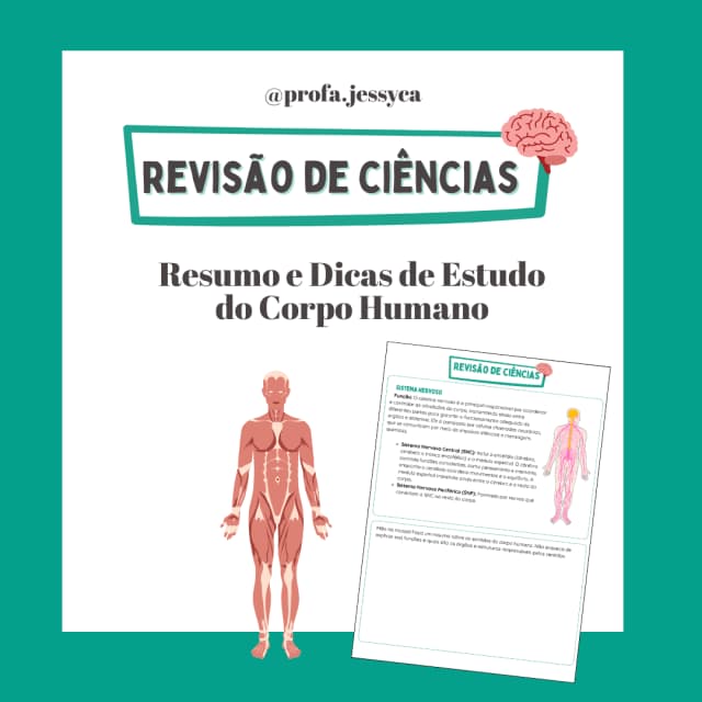 capas-para-a-lojinha-16-2