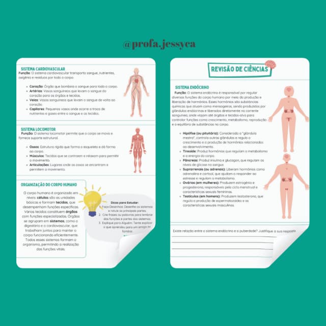 capas-para-a-lojinha-17-2