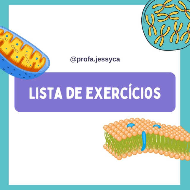 capas-para-a-lojinha-18-2