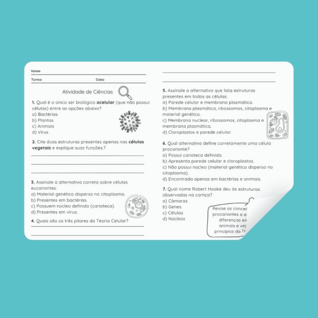 capas-para-a-lojinha-19-2