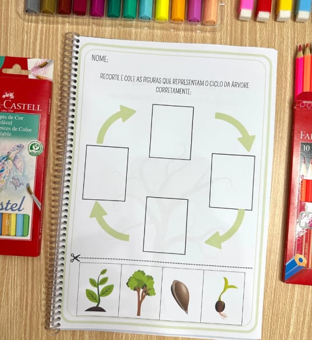 atividade-ciclo-da-arvore