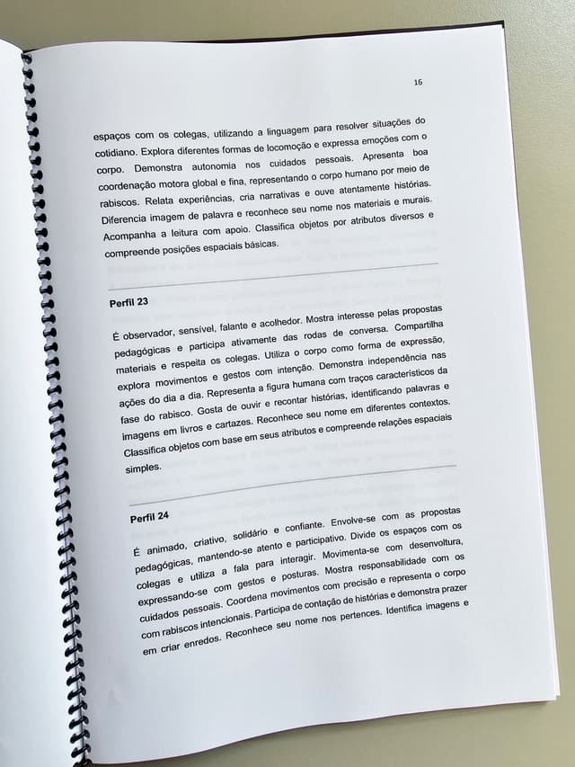 172.1) Foto ebook relatorios individuais (4).jpg