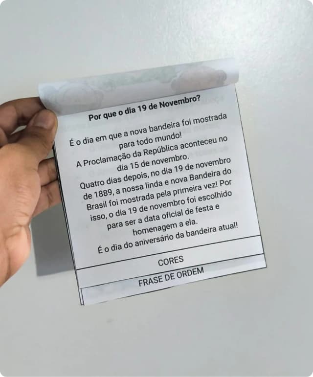 atividade interativa dia da bandeira educação infantil.png