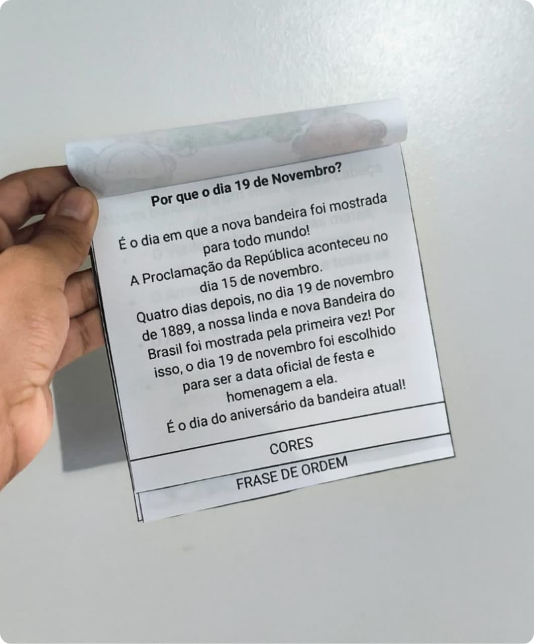 atividade interativa dia da bandeira educação infantil.jpg