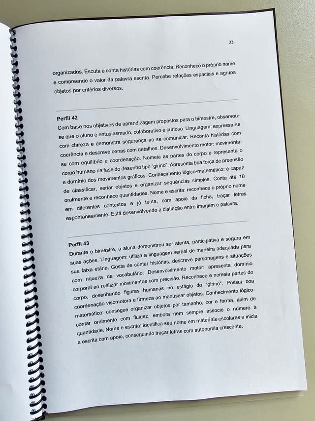 172.1) Foto ebook relatorios individuais (3).jpg