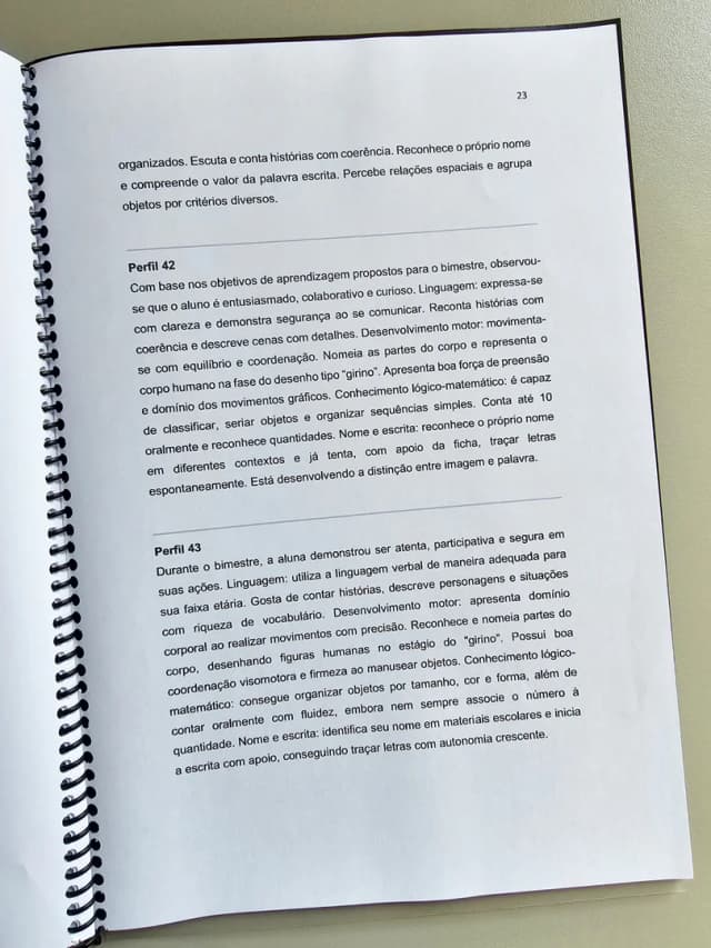172.1) Foto ebook relatorios individuais (3).jpg