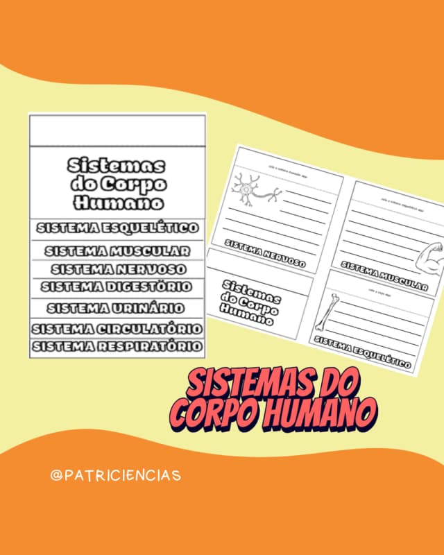 jogo-da-memoria-orgao-do-corpo-humano-3