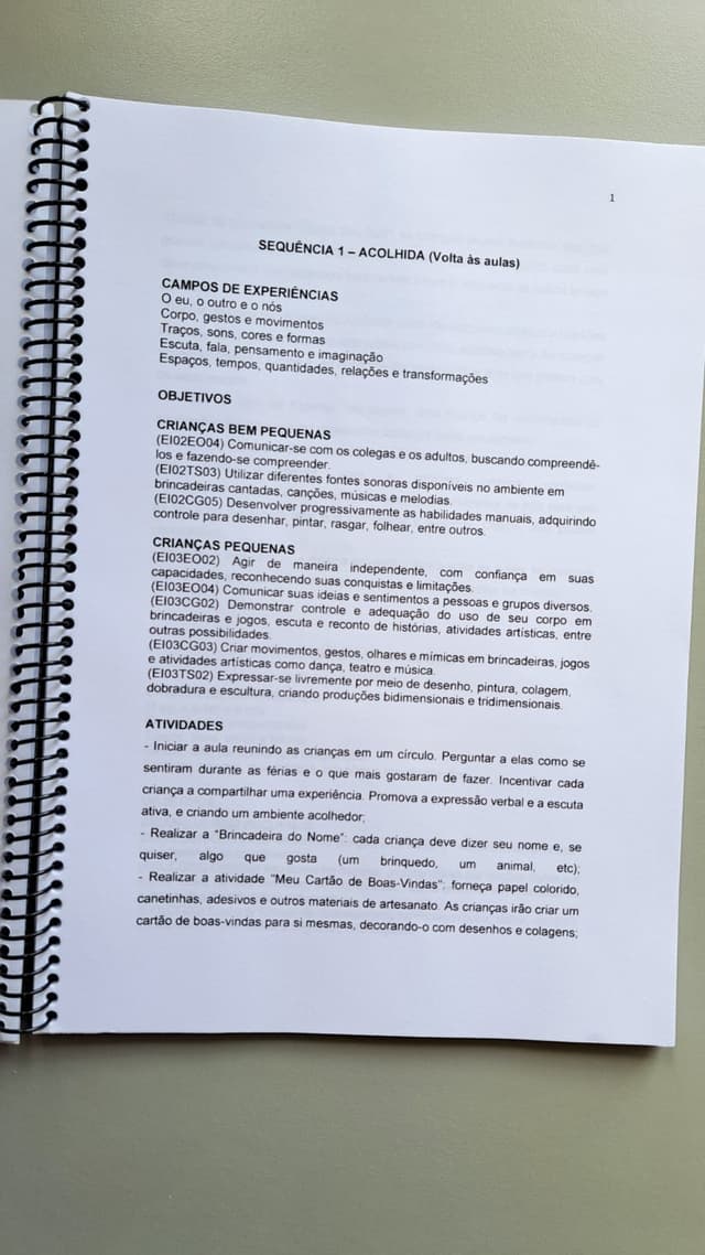 97.1) fotos ebook planos de aula (2).jpeg