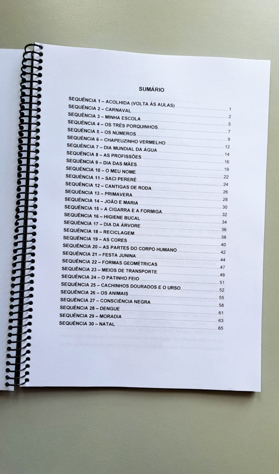 97.1) fotos ebook planos de aula (3).jpeg