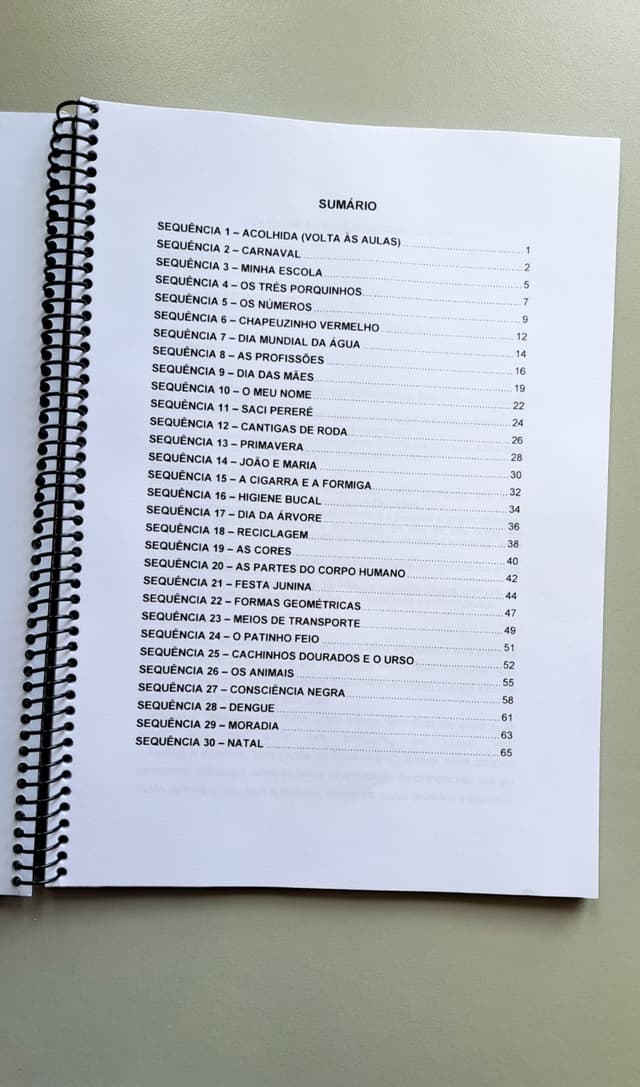 97.1) fotos ebook planos de aula (3).jpeg