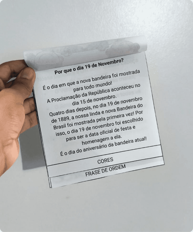 atividade interativa dia da bandeira educação infantil.png