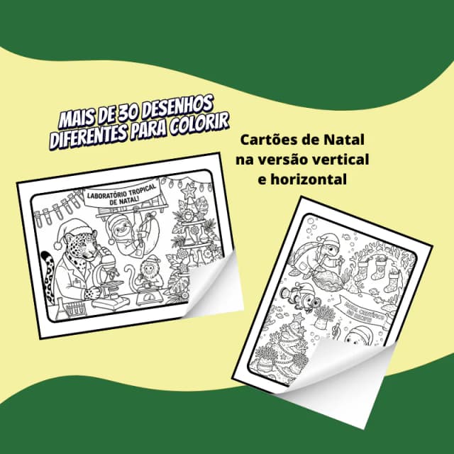 capa2.png