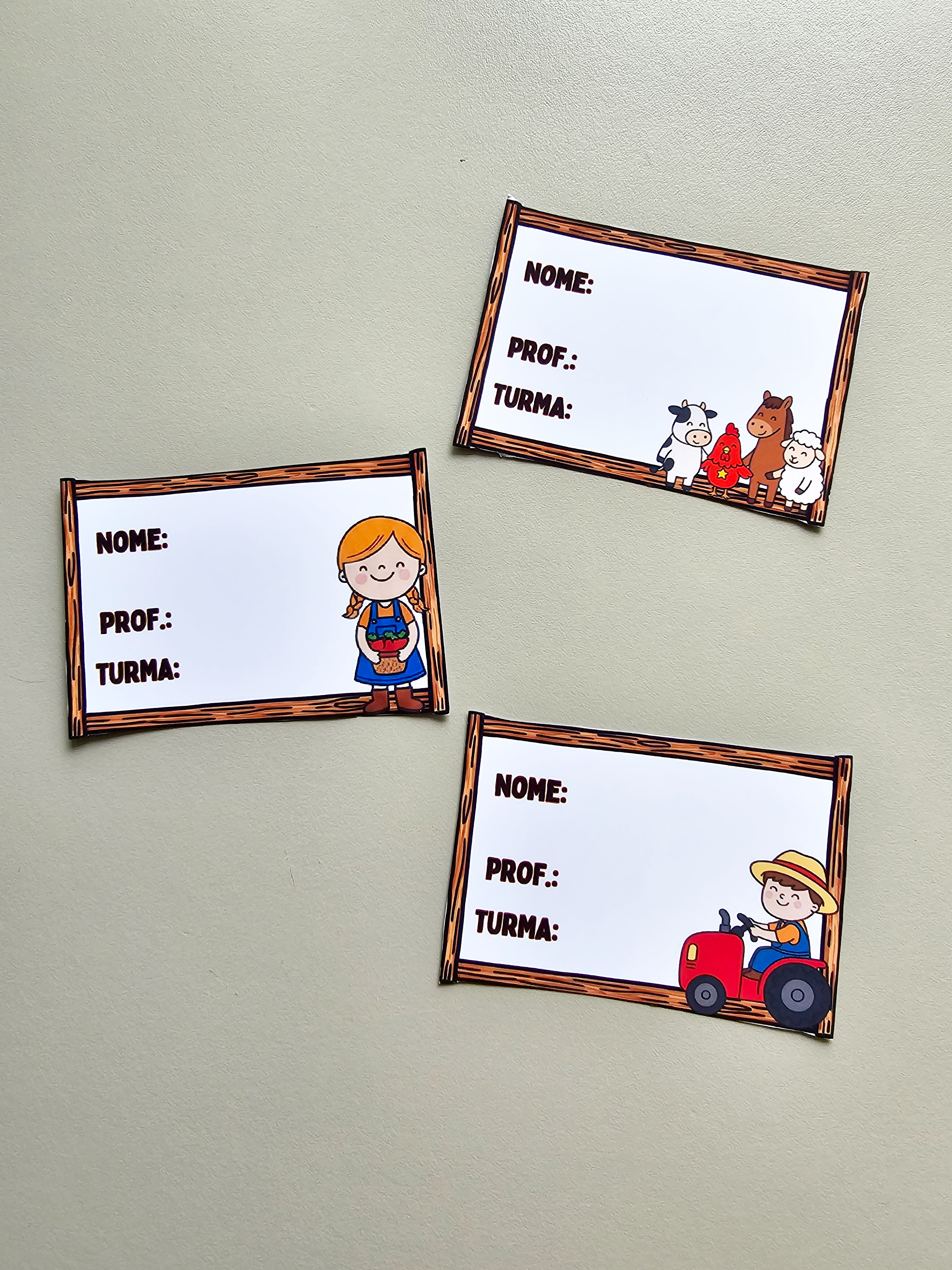 16.1) Foto Crachá fazendinha (2).jpg