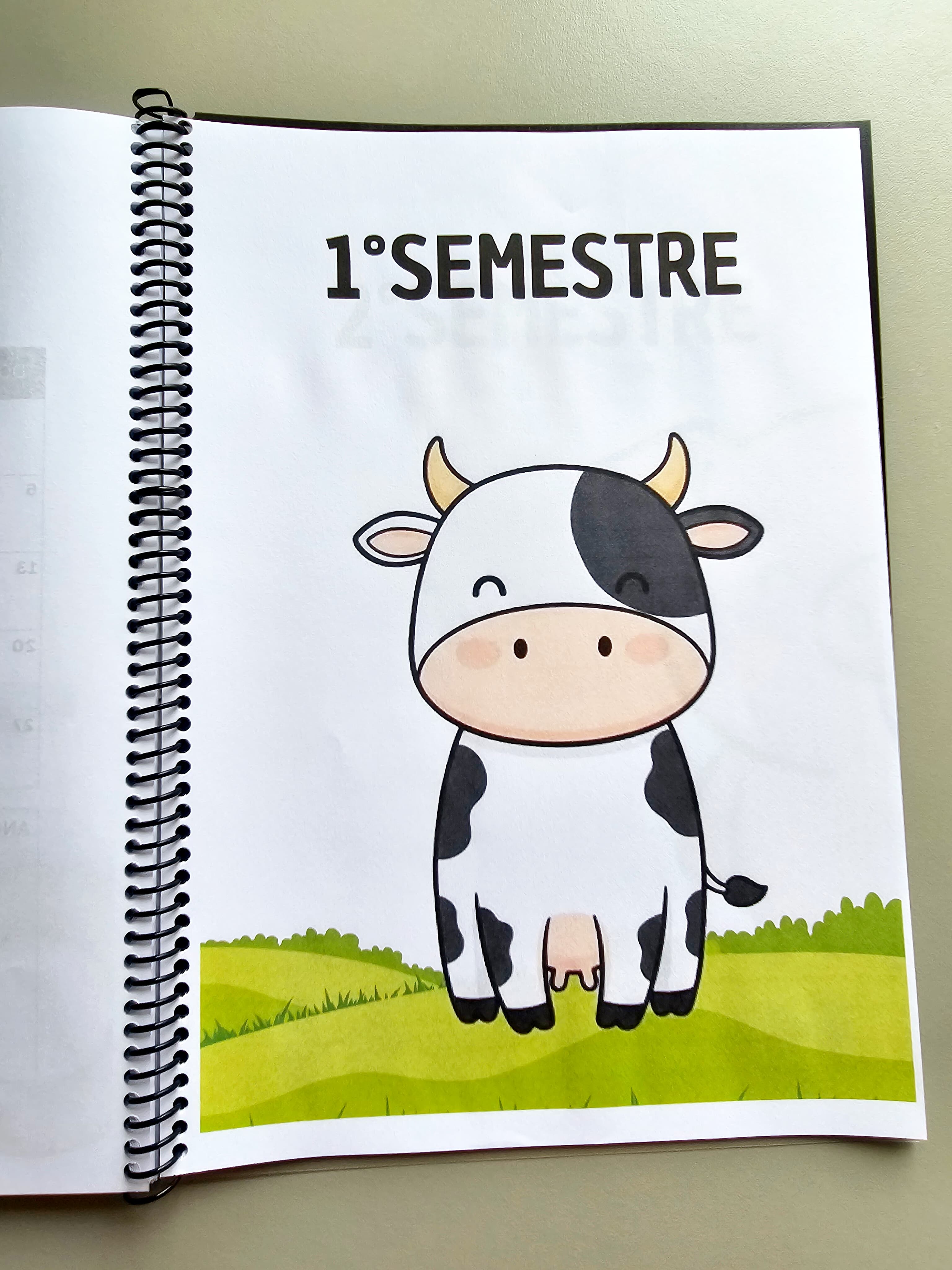 1.1) Foto Planner 2026 Fazendinha (1).jpg