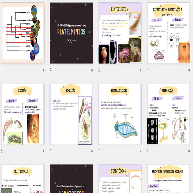 Screenshot_5_800x800.png