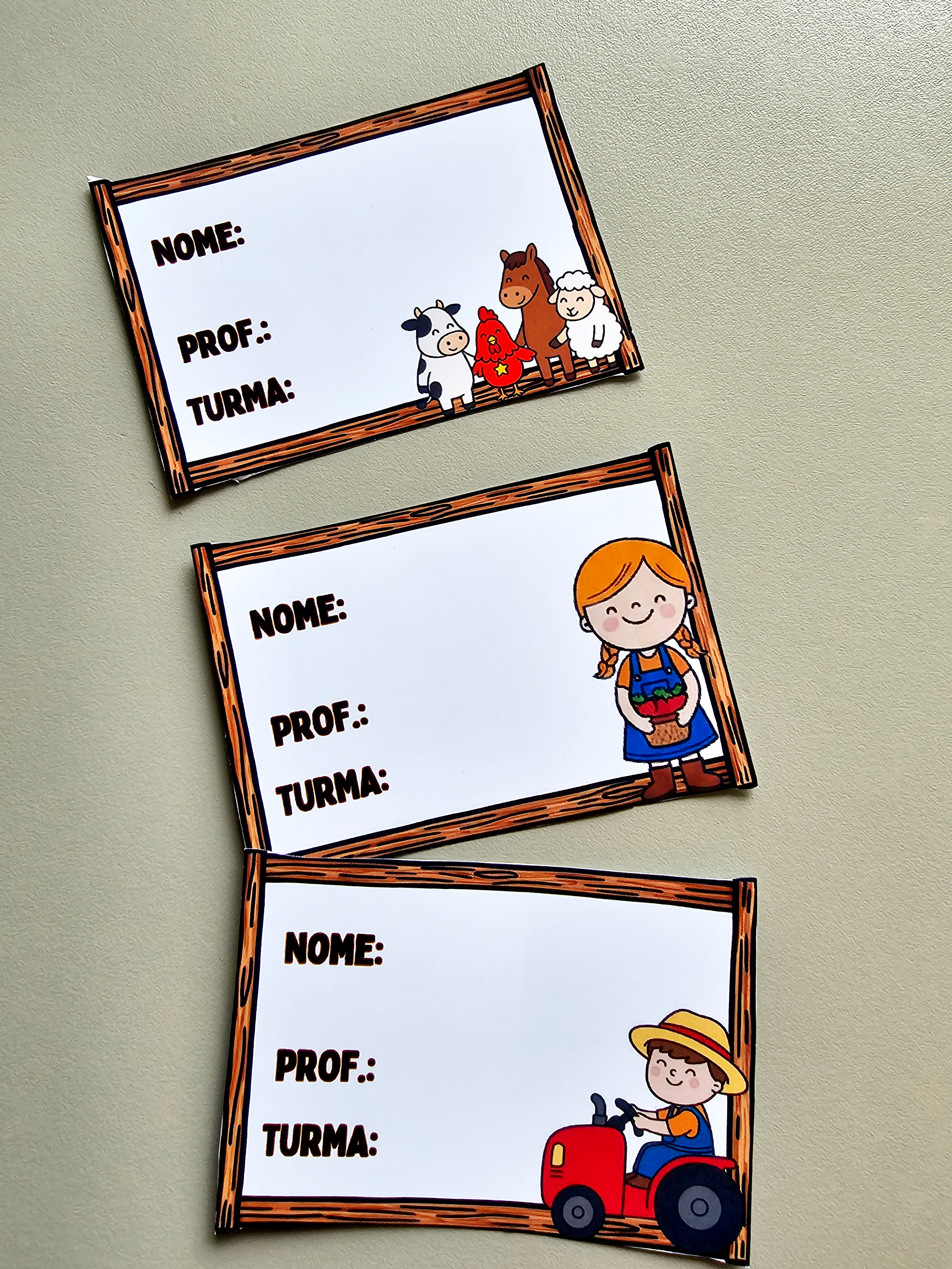 16.1) Foto Crachá fazendinha (1).jpg