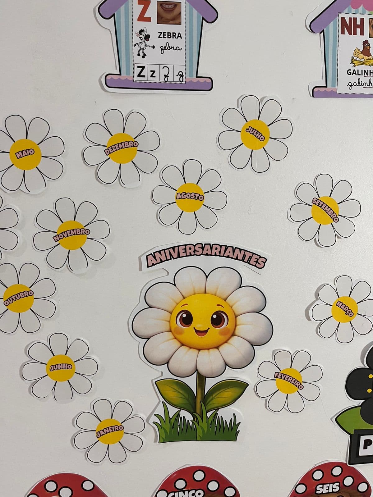 WhatsApp Image 2026-01-01 at 22.15.01.jpeg