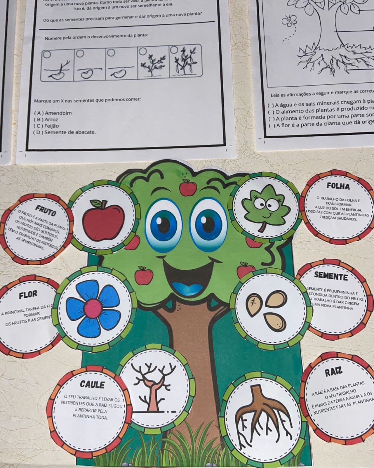 WhatsApp Image 2024-09-20 at 18.31.04.jpeg