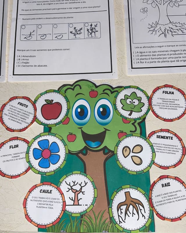 WhatsApp Image 2024-09-20 at 18.31.04.jpeg