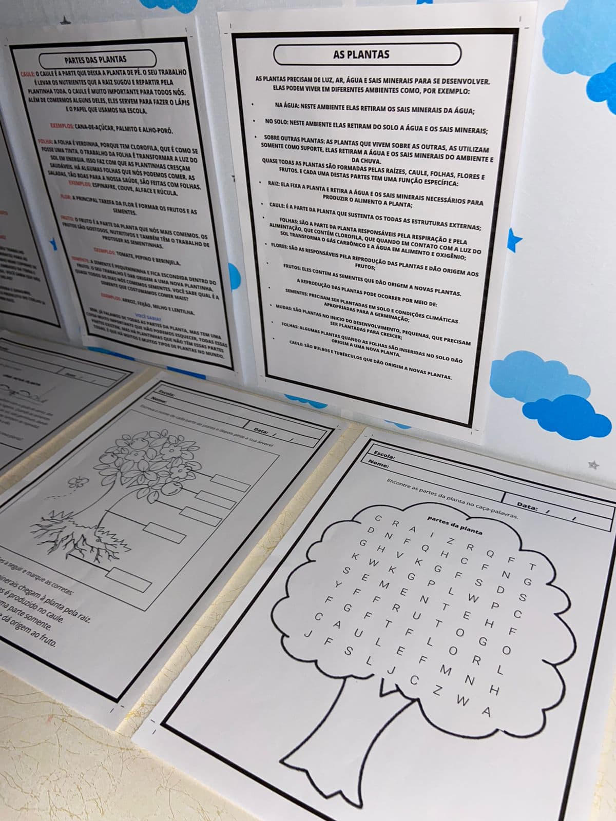 WhatsApp Image 2024-09-20 at 18.30.59.jpeg