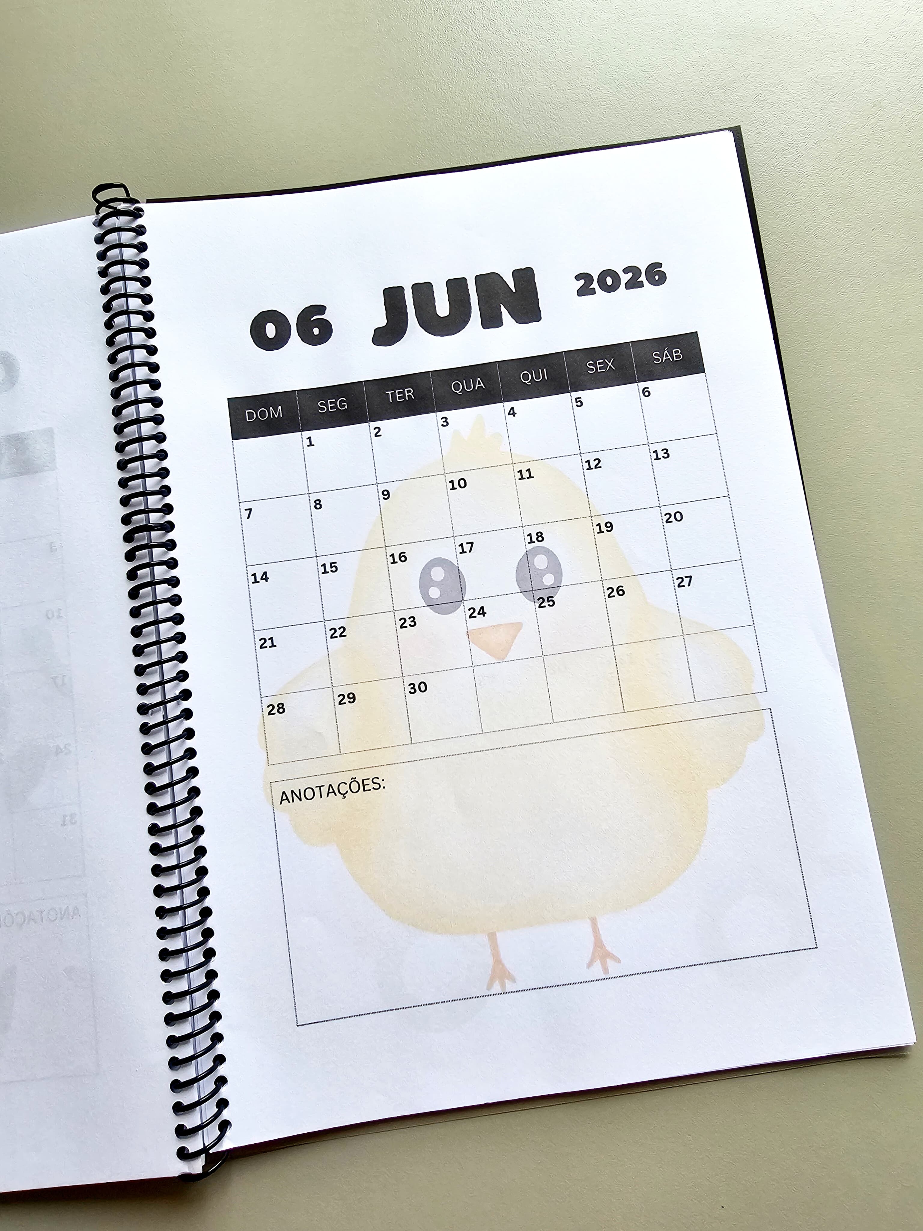 1.1) Foto Planner 2026 Fazendinha (8).jpg