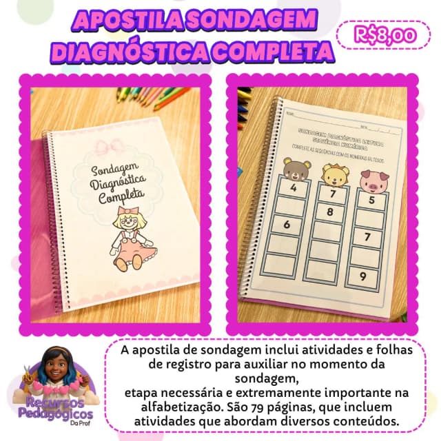 aposrtila sondagem.jpg