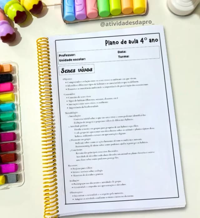 11.webp