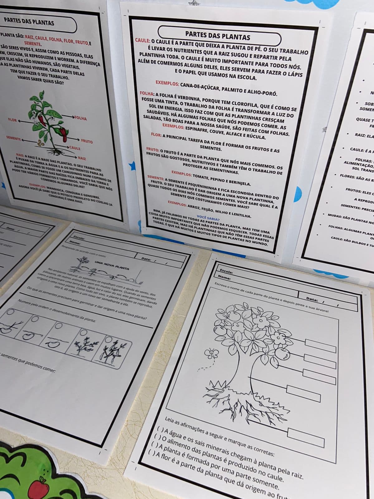 WhatsApp Image 2024-09-20 at 18.30.59 (1).jpeg