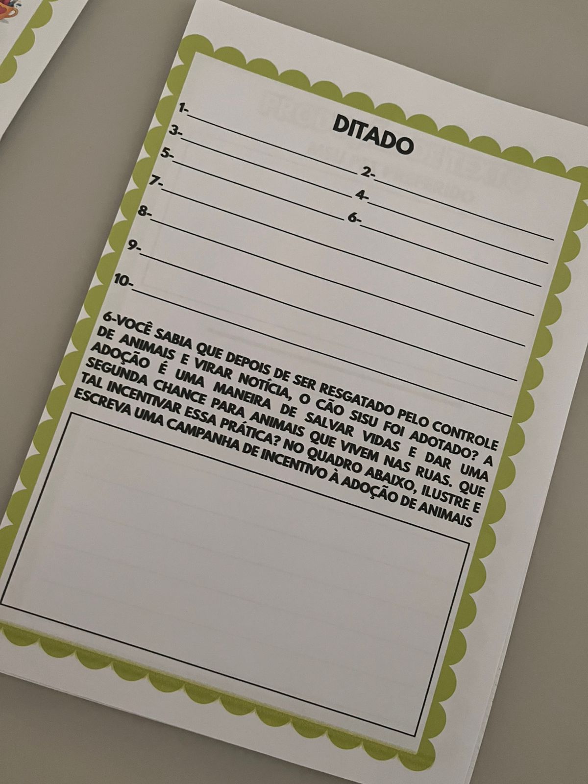 WhatsApp Image 2026-02-01 at 18.25.07 (1).jpeg