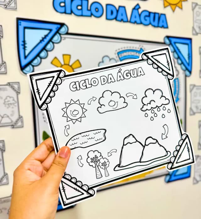 4.webp