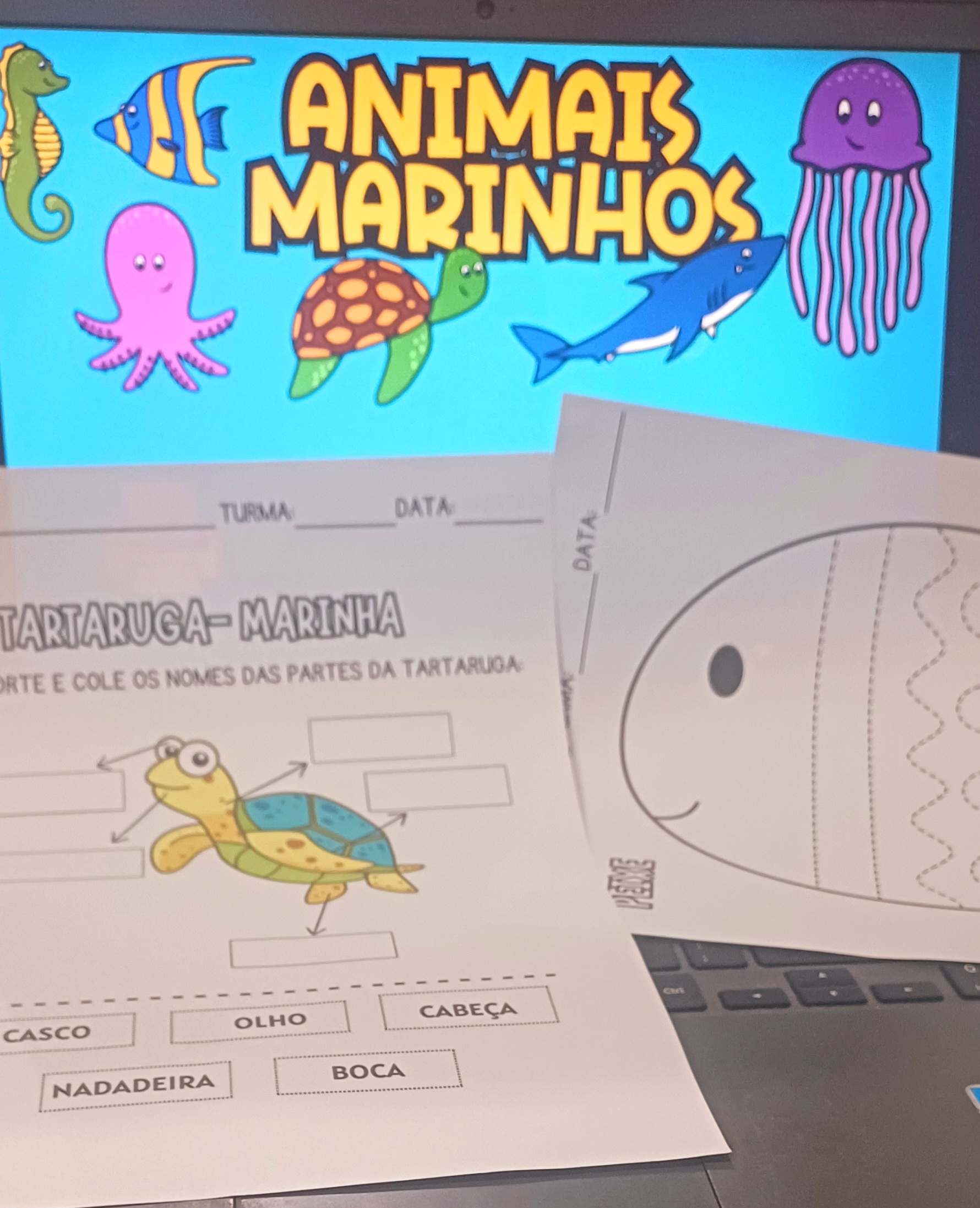 20240904_003446 (1).jpg