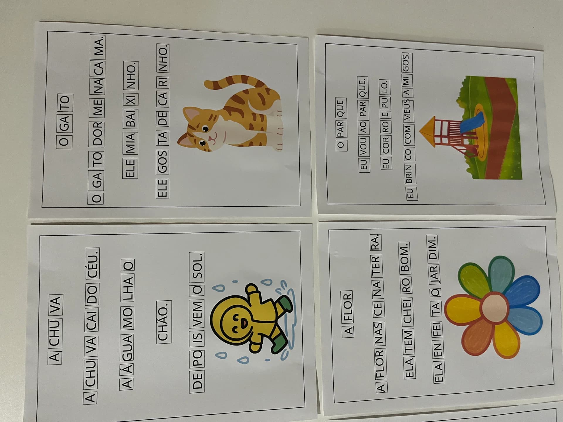 IMG_6909.JPG
