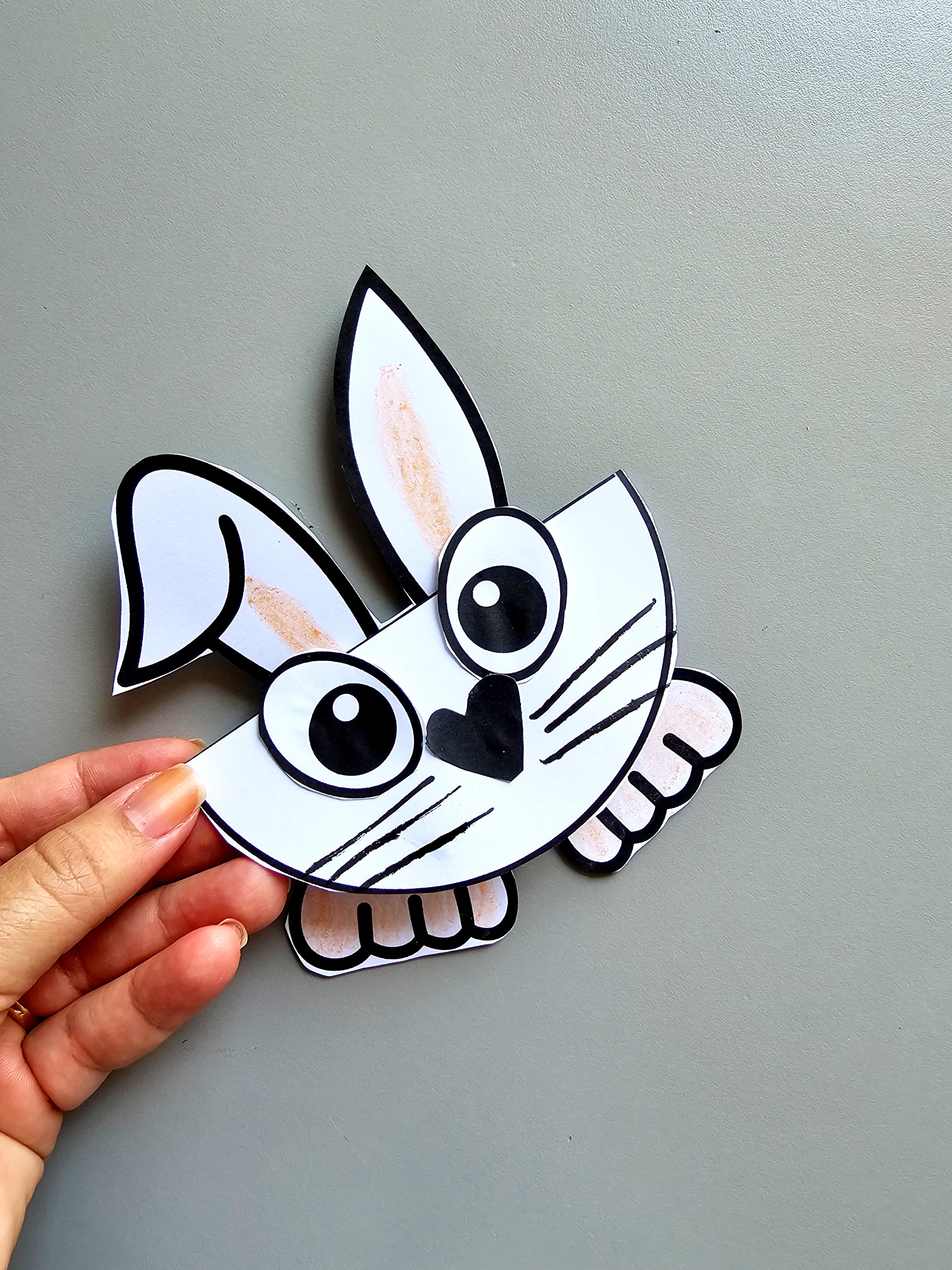 127.1) Foto Dobradura coelho (1) (1).jpg