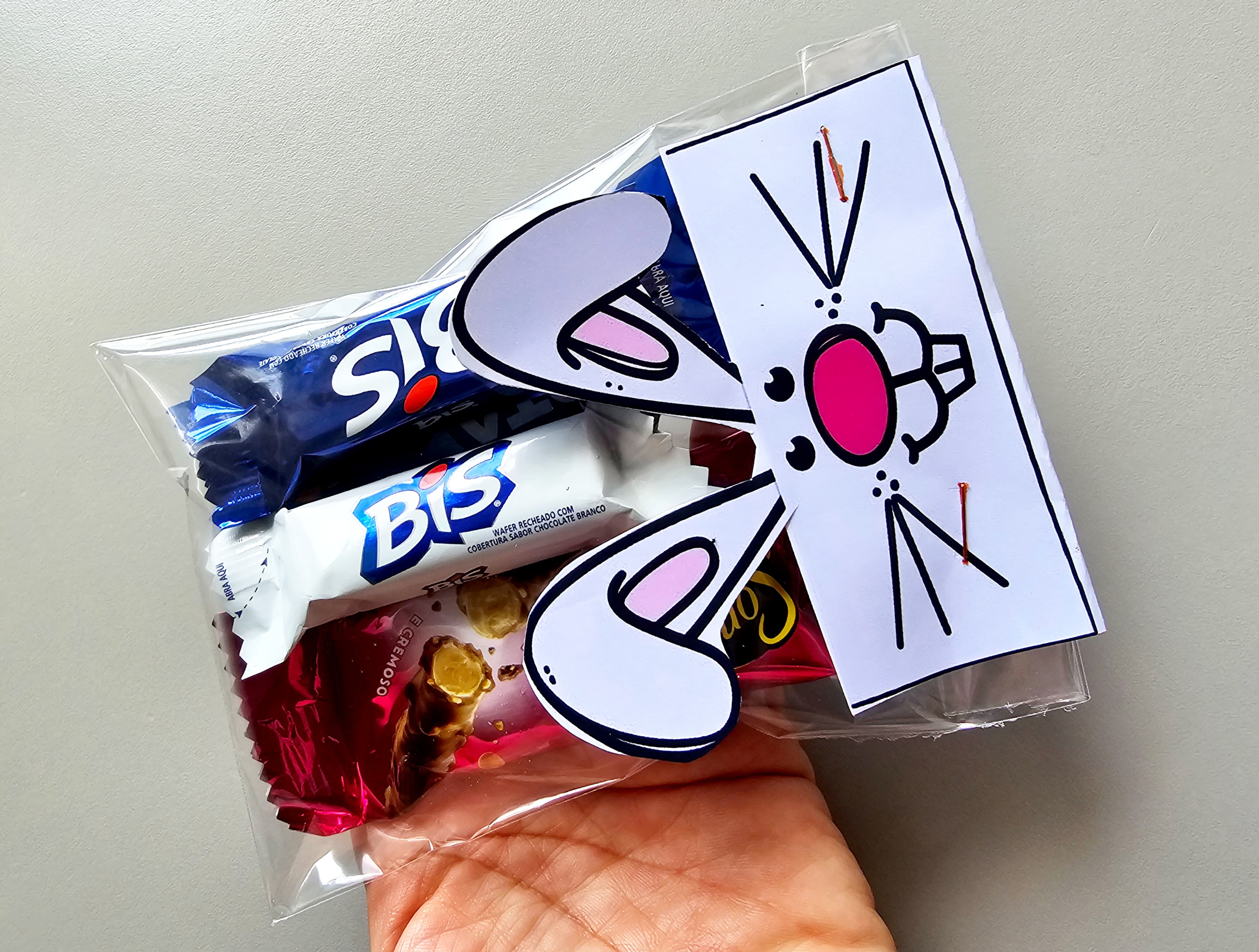 291.1) Foto Lapela pascoa (1).jpg