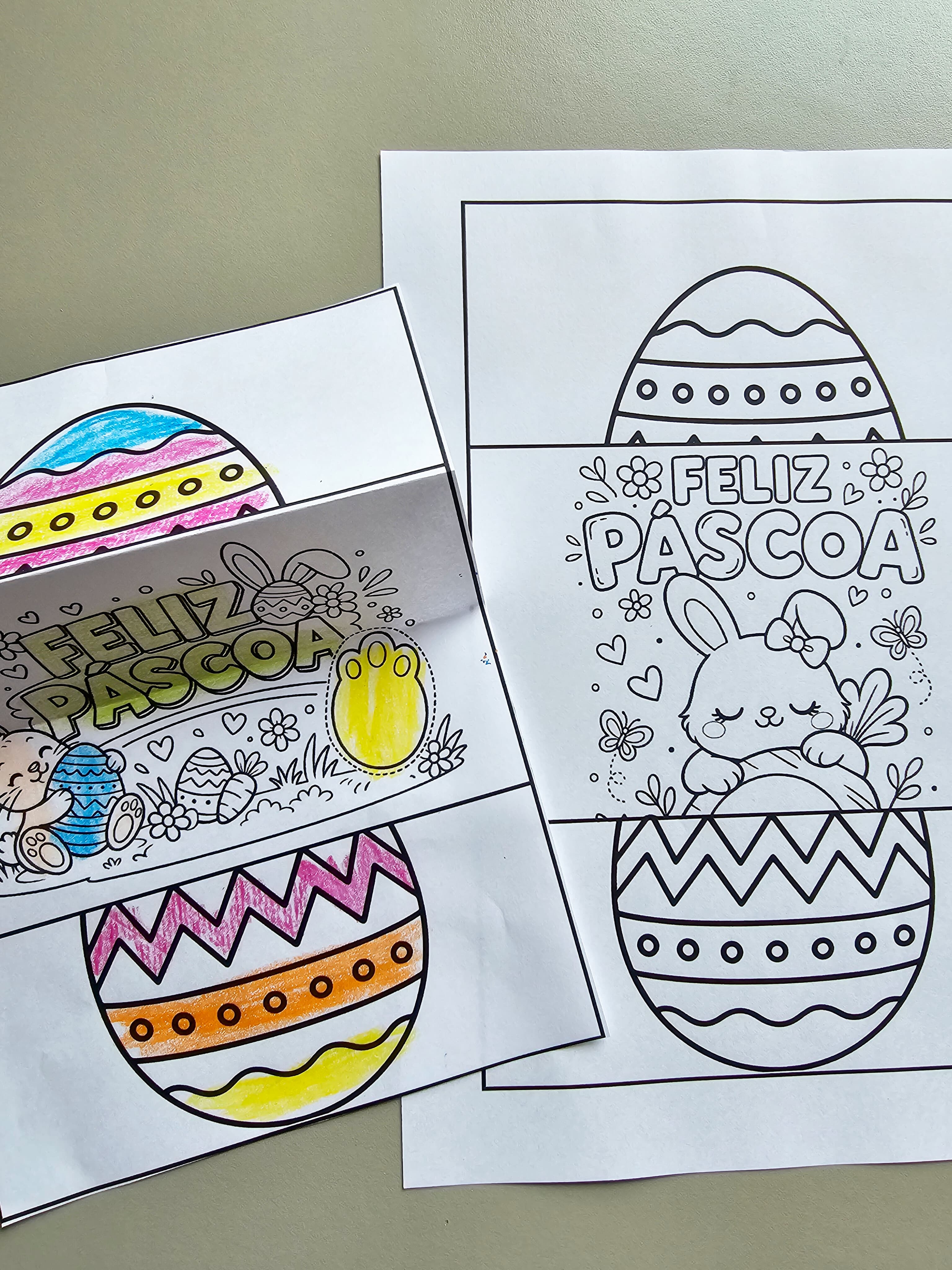 285.1) Foto Dobradura coelho (4).jpg