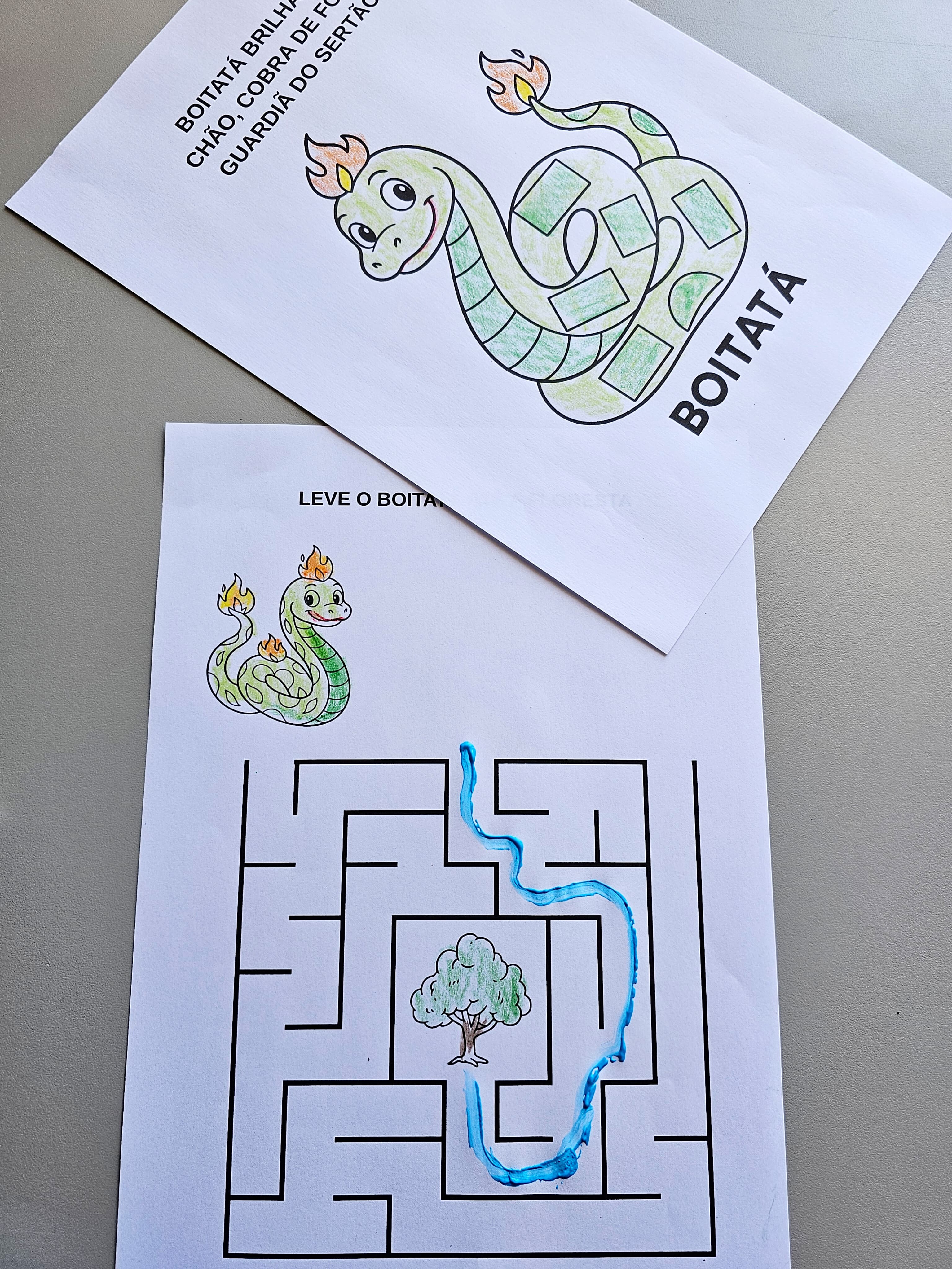 186.1) Foto Boitatá folhinha  (1).jpg