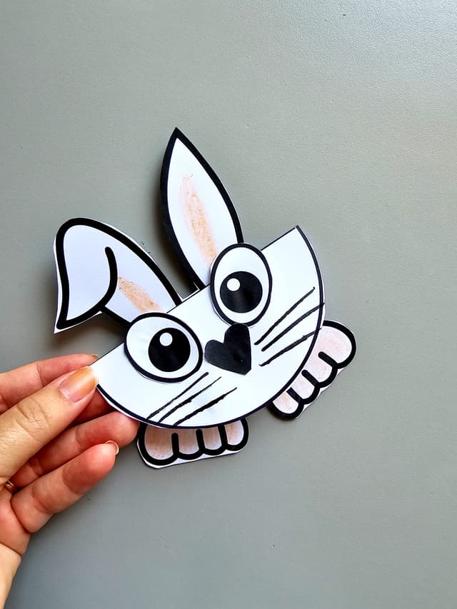 127.1) Foto Dobradura coelho (1).jpg