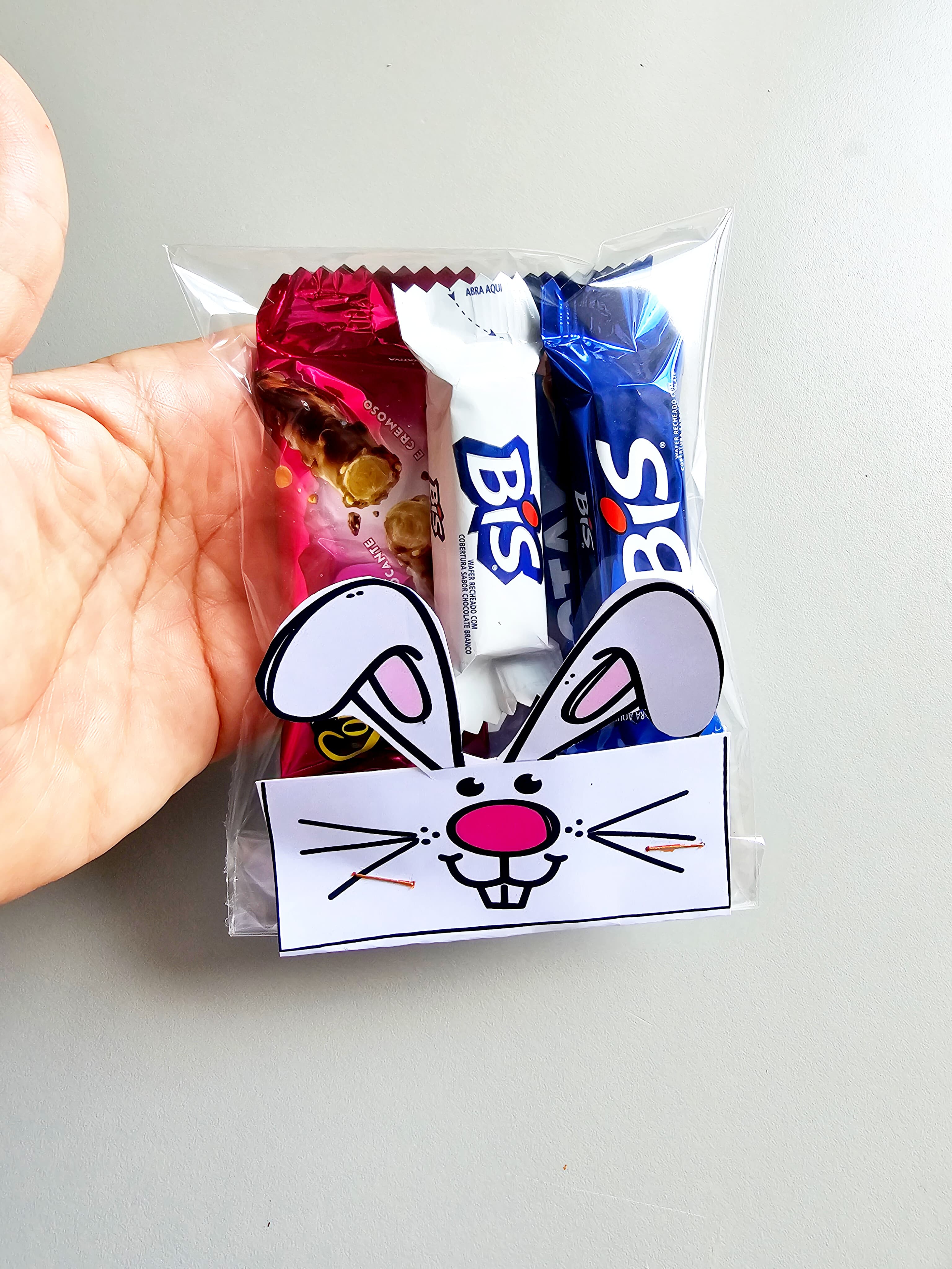 291.1) Foto Lapela pascoa (2).jpg