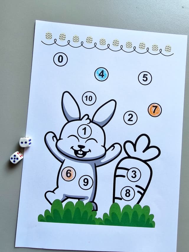 129.1) Foto Coelho e os numeros para colorir (2).jpg