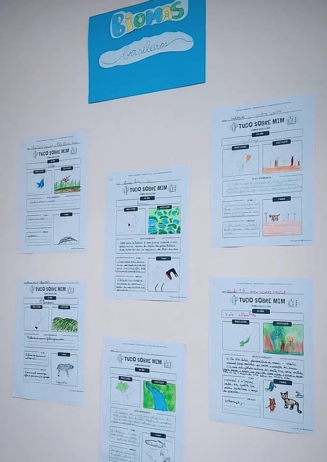 WhatsApp Image 2026-03-22 at 22.37.24.jpeg