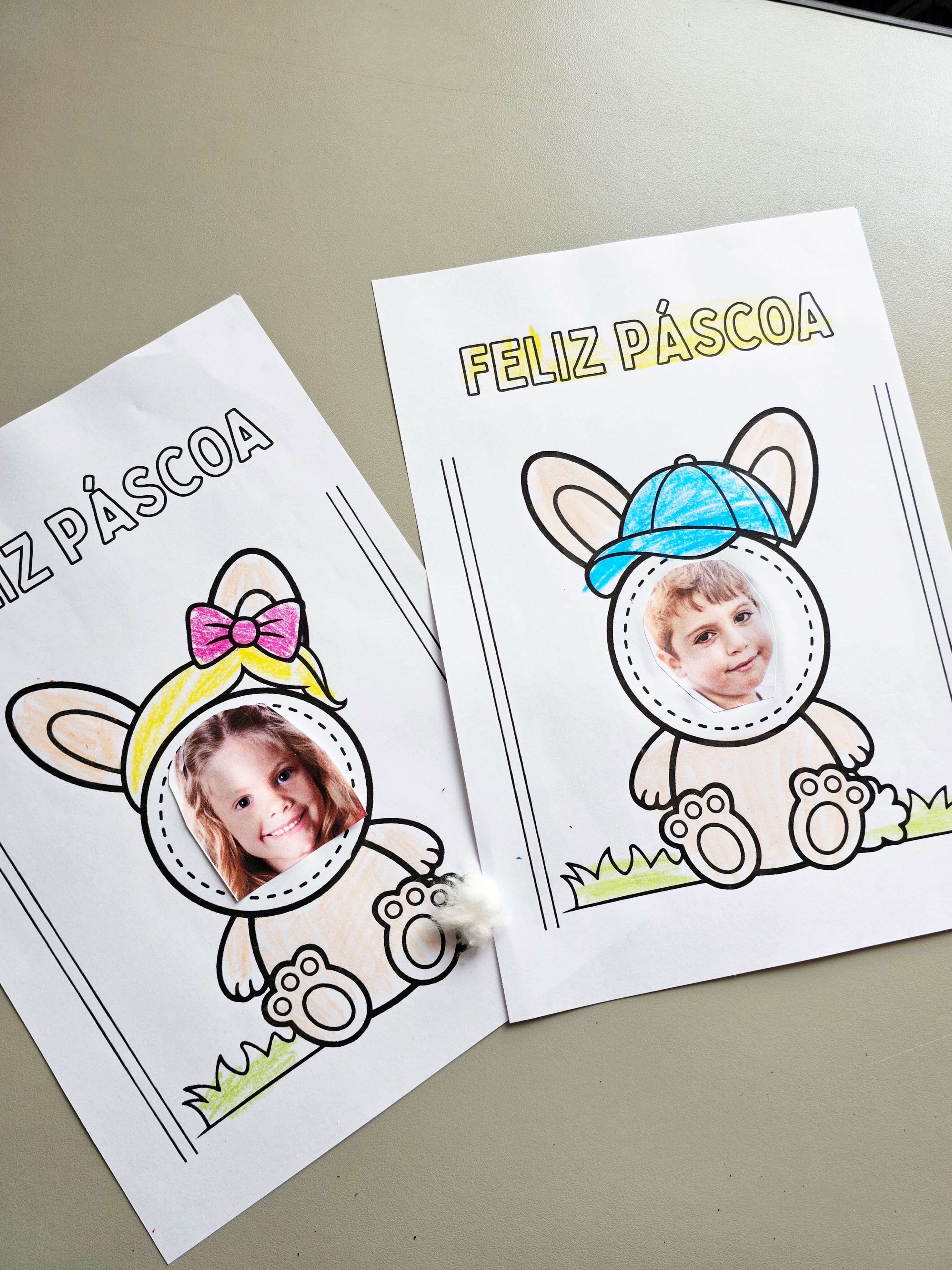 289.1) Foto COELHINHO ROSTINHO (2).jpg