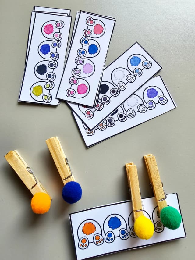 284.1) Foto Cores coelhinho (3).jpg