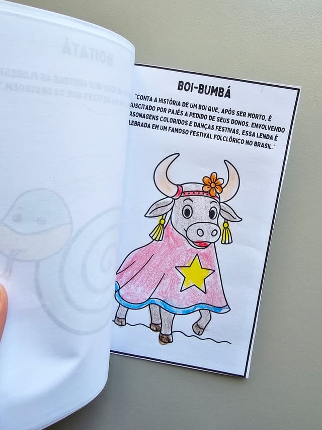 192.1) Foto Livrinho Personagens Folclore (3).jpg