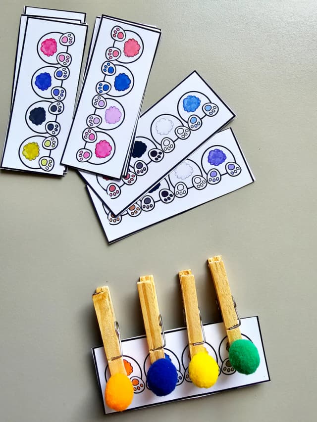 284.1) Foto Cores coelhinho (2).jpg